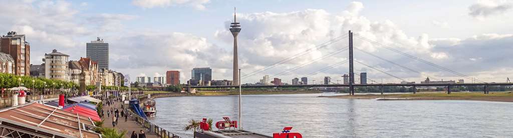 By Tulip Dusseldorf